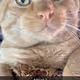 1119271