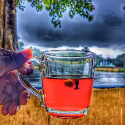 Cloudy Tea