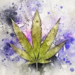 weed_0420