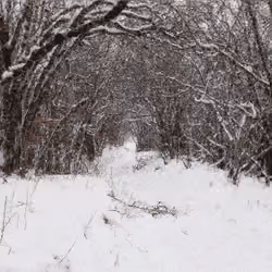 snowbeach