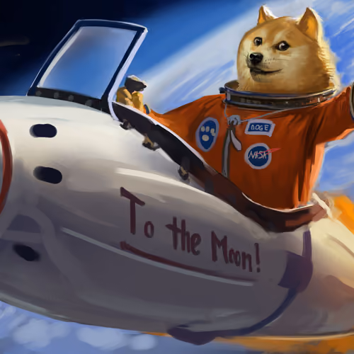 DOGE to the Moon!