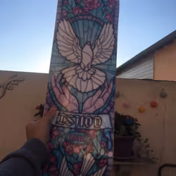 holly board