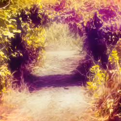 The Right Path
