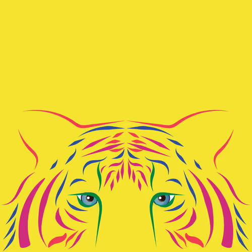 Tiger Gaze