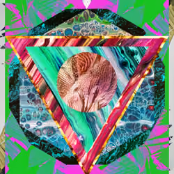 My name is Collage #9