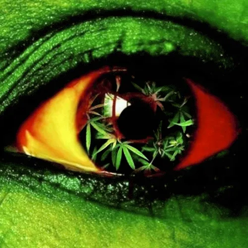 420 vision