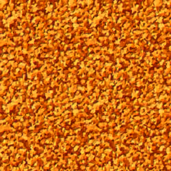 Toasted Squash 2