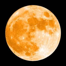 Moonbit