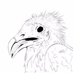 Who's a Pretty Bird?