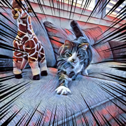 IndoorBigCats