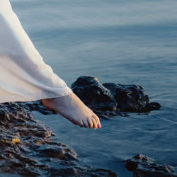 ",Pointed Toe."