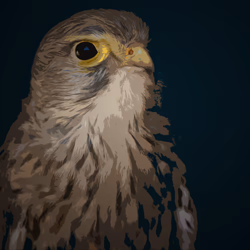 Graphical Kestrel - Orias Birds #1