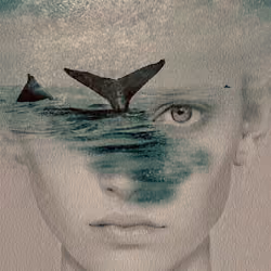 / OCEAN / still