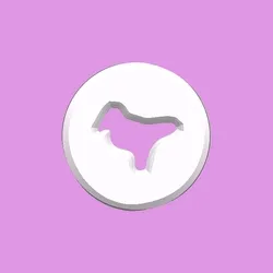 199x White Dove