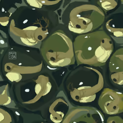 lottle bubbles