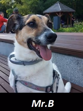 MrB
