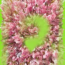 Cherryblossom Distortion Spraypaint NFT