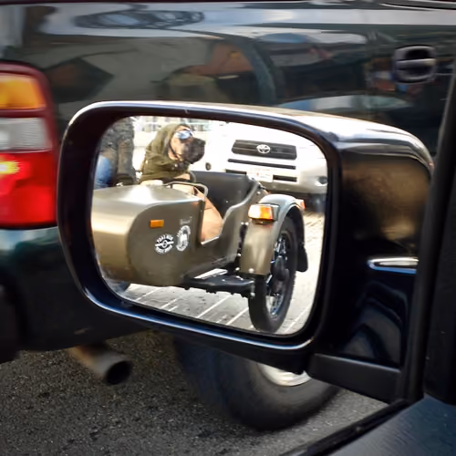 co.pilot