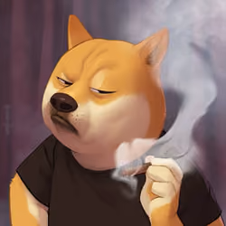 Elon on DOGE