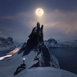 Wolf Howling To The Moon