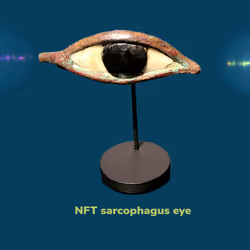 The right eye