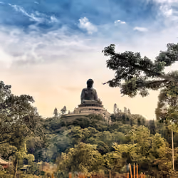 The_Buddha