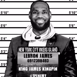 LEBRON JAMES 1/1 : SOHO LINE UP MUGSHOT BY 1PENEMY