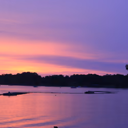 Nature's Beauty