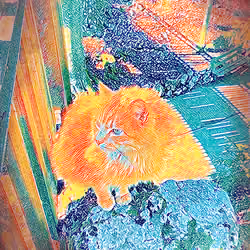 Mister Cat from little castle