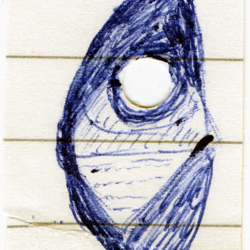 birdeyeshield