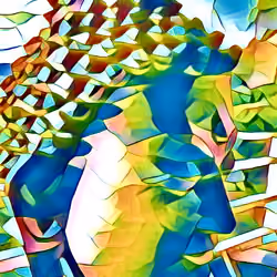 Spirit in the machine