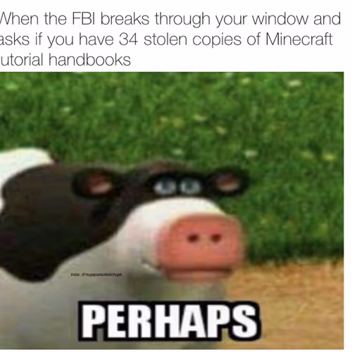 Perhaps Cow Meme 