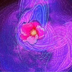 Flower Moon Beat
