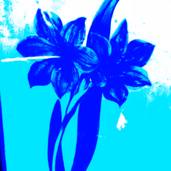 Garden Flower