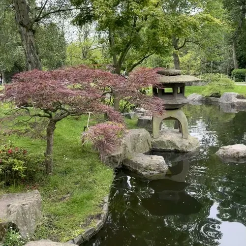 Peace and Tranquility