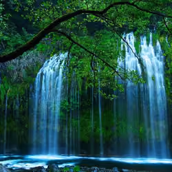 Nature