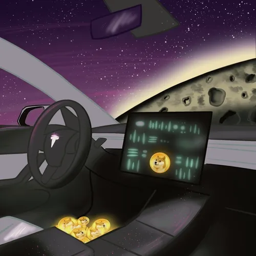 DOGE SPACE X 