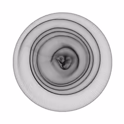 Umbilicus 09160805