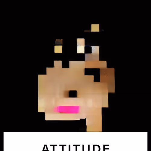 ATTITUDE