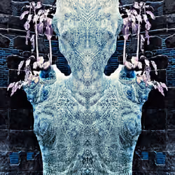 Torso