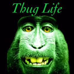 Thug Life Monkey