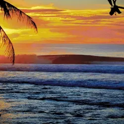 Limited Surf Destination