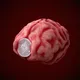 Crypto Brain