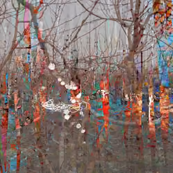 forest of secrets