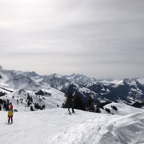 Ski Day