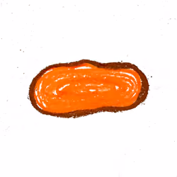 Sweet Potato #1