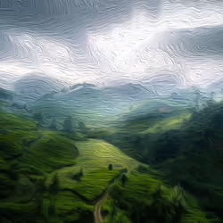 Misty_Mountain