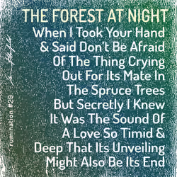 Rumination #29
