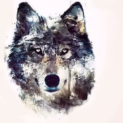 the wolf