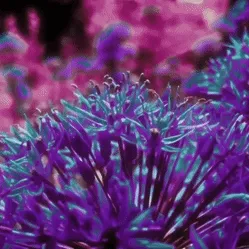 MetaRelaxation #1